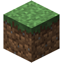 Иконка Блок травы.png: Спрайт для инвентаря, как показано в игре.